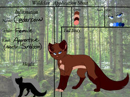 Cedarpaw WildClan Application