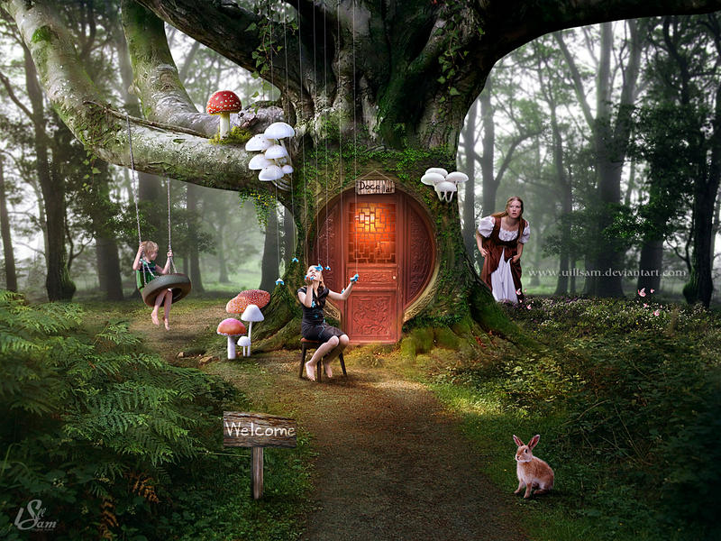 the magic forest by uillsam the magic forest by uillsam