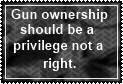 Gun Ownership