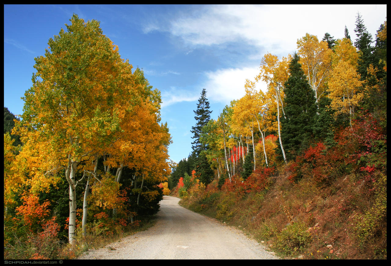 On a country lane