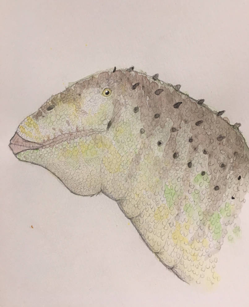 Lavocatisaurus Agrioensis By PrehistoricaArt On DeviantArt lavocatisaurus-agrioensis-by-prehistoricaart-on-deviantart