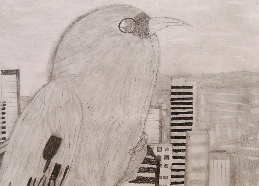 Bird of the City