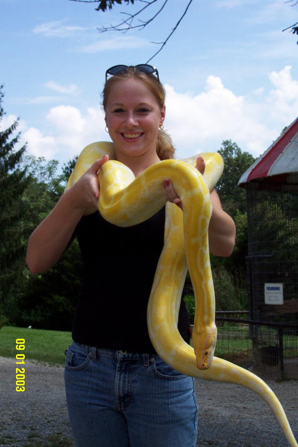 Python Woody Monty the Mighty Albino Python by wmwoody on DeviantArt