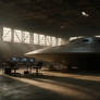 Hangar X