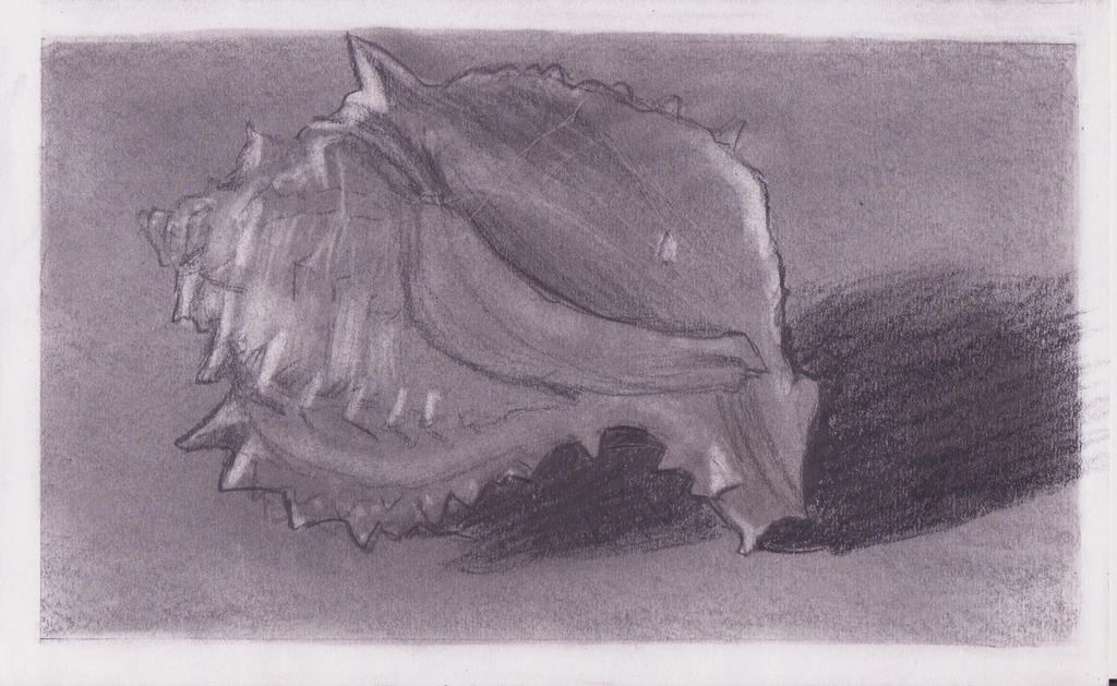 Realistic Graphite Shell Shell Graphite by littlegardengnome on DeviantArt