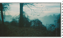 Foggy Stamp