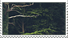 Trees Stamp v2