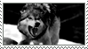 Growling Wolf Stamp by G0REH0UND