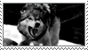 Growling Wolf Stamp