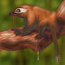 Gliding cynodont