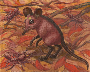 Ant elephant shrew (Myrmisengi saltator) by AlexSone