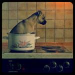 [HOT][ DOG] by FreeMelAncholy