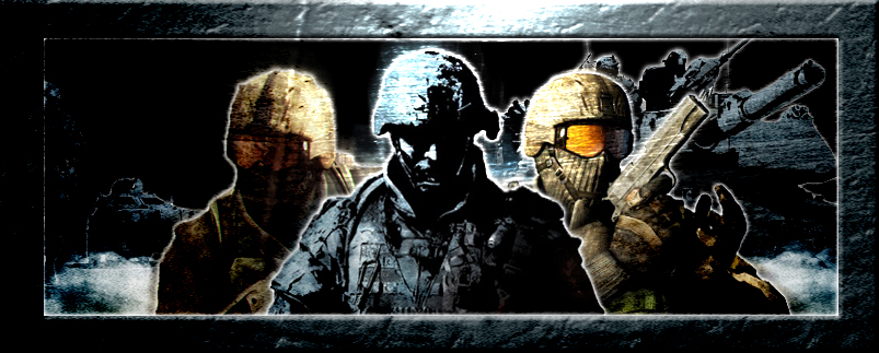 battlefield banner 1