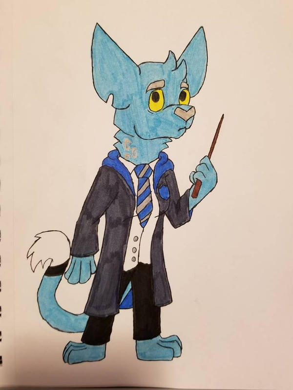 Ravenclaw Robe Draw Ravenclaw robes by RhinoJedi on DeviantArt