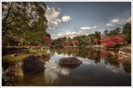 Nara's Lake and the kid