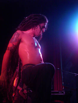 Shadows Fall Live