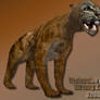 Thylacoleo Profile