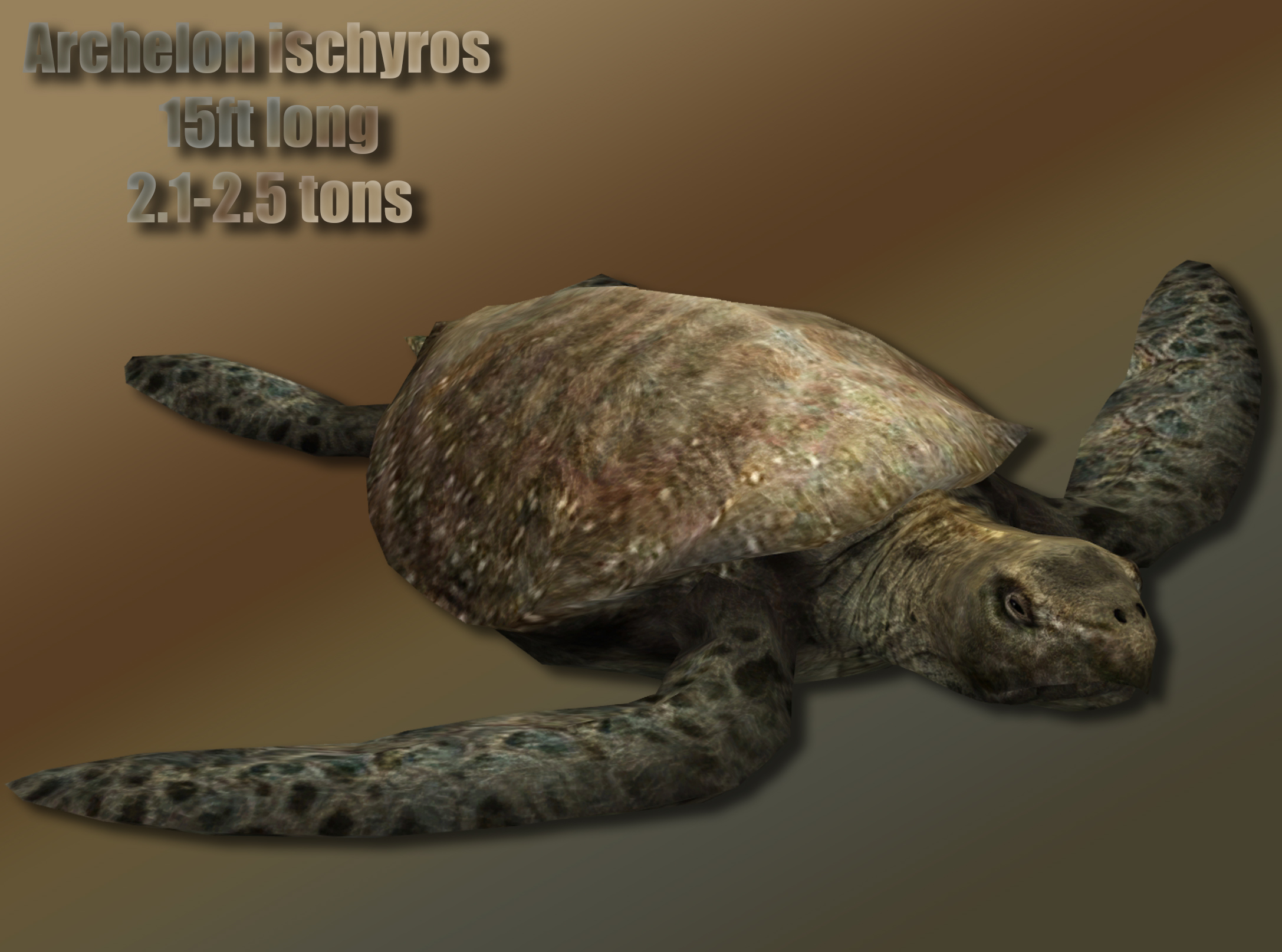 Archelon Profile By Davidy12 On Deviantart Archelon Profile By Davidy12 On Deviantart