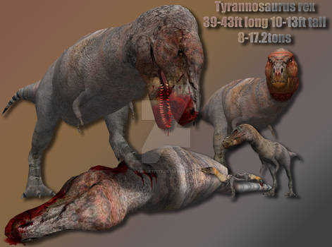 Tyrannosaurus rex Profile