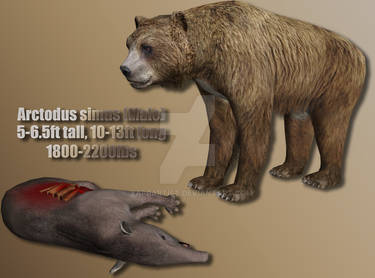 Short Faced Bear Profile