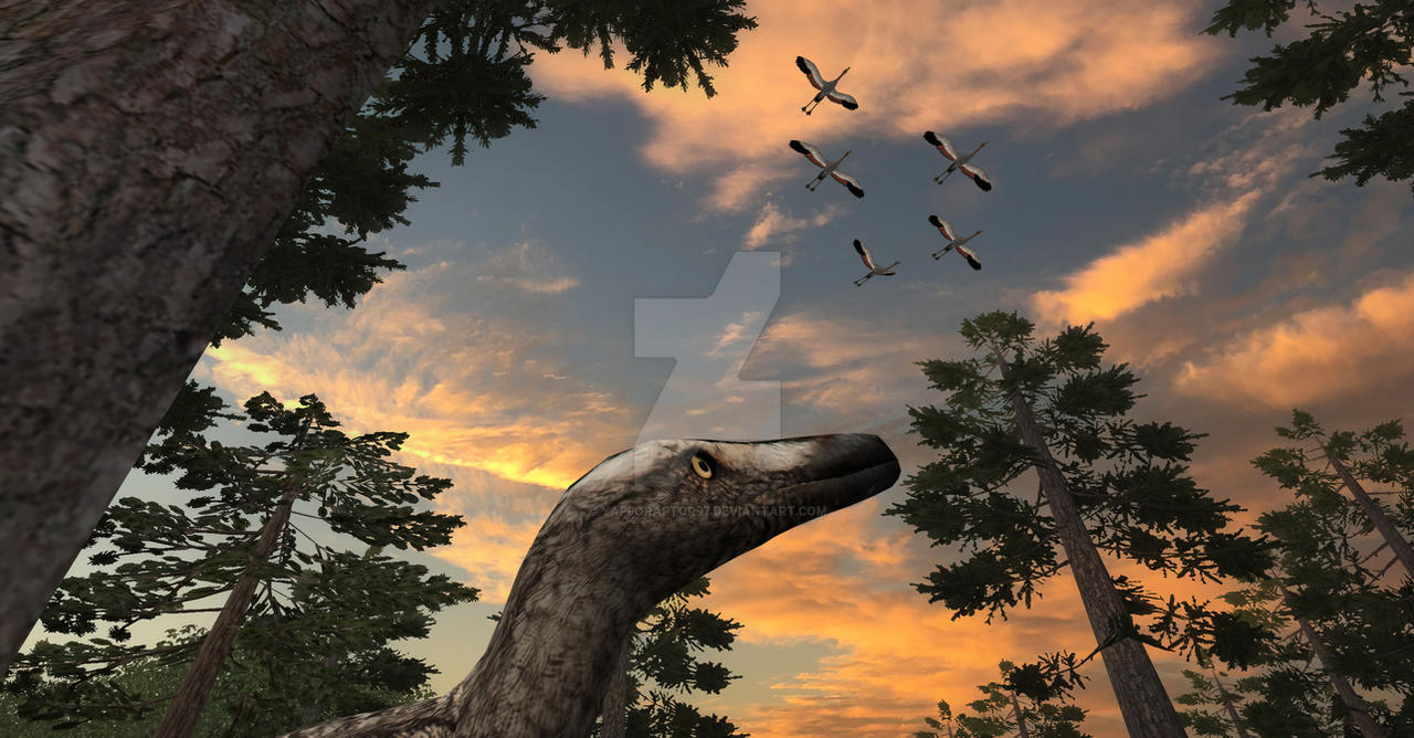 Pectinodon Pectinodon a Pondering on by Yapporaptor97 on DeviantArt