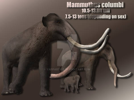 Columbian Mammoth Profile