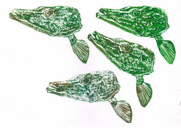 Nothern Pike Heads by AKrukowska