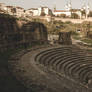 The Roman Theatre and Lyon 