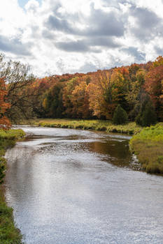 Autumn River