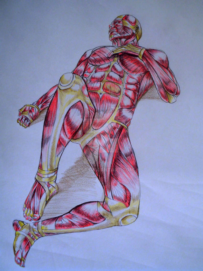 Human Body Outline 1 by Dksr on DeviantArt