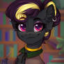 Portrait commission
