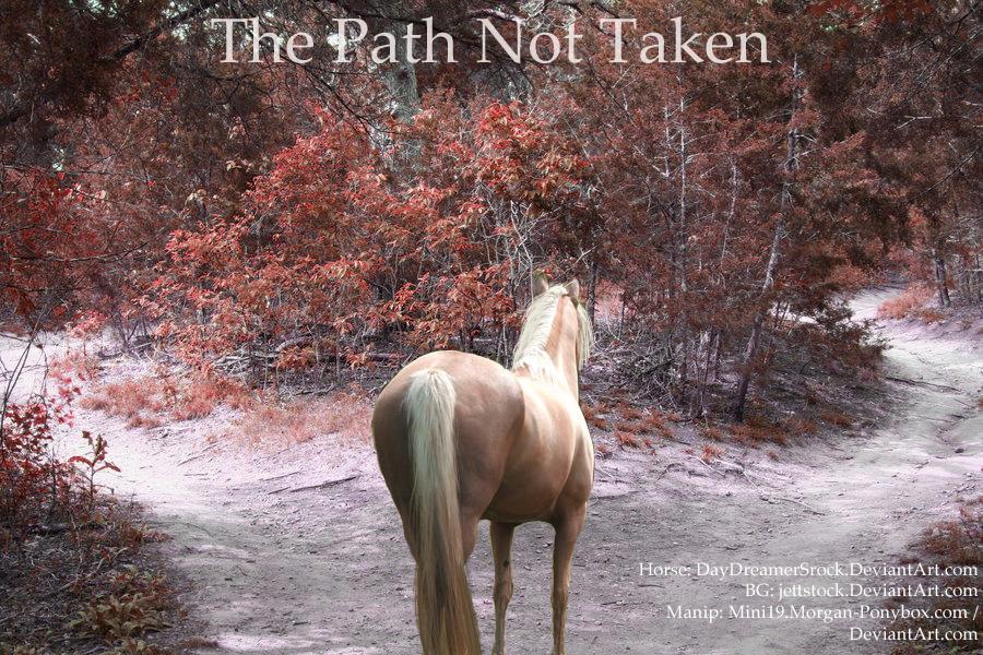 The Path Not Taken by Mini19 on DeviantArt