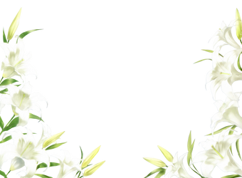 Flower PNG #2