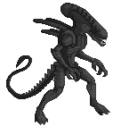 Xenomorph aka Alien