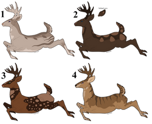 Deer Auction Set 1 (0/4) CLOSED