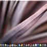 Macbook Pro Desktop 1-14-09