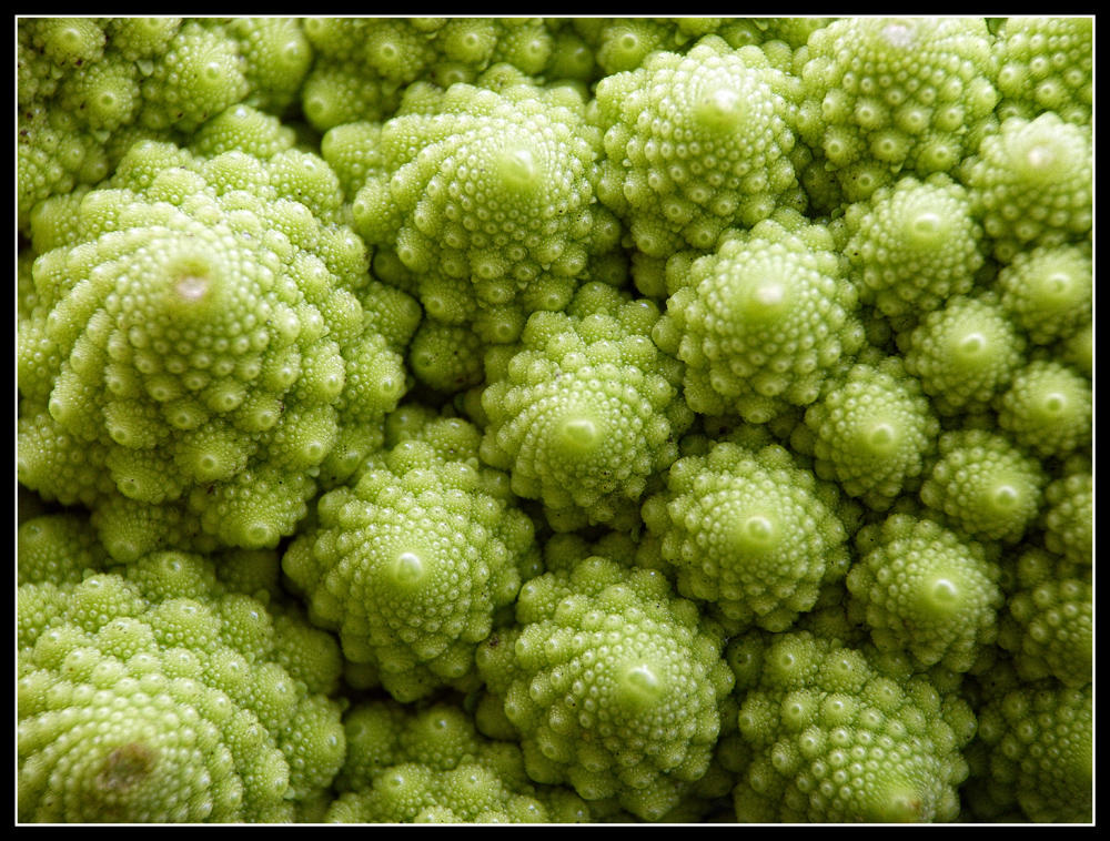 Fractal or Broccoli? by kanes on DeviantArt