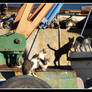 Cats in Harbour II