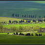 Pienza Tuscan countryside