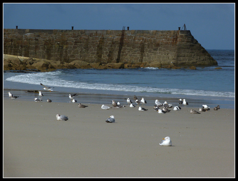 Rest on the beach