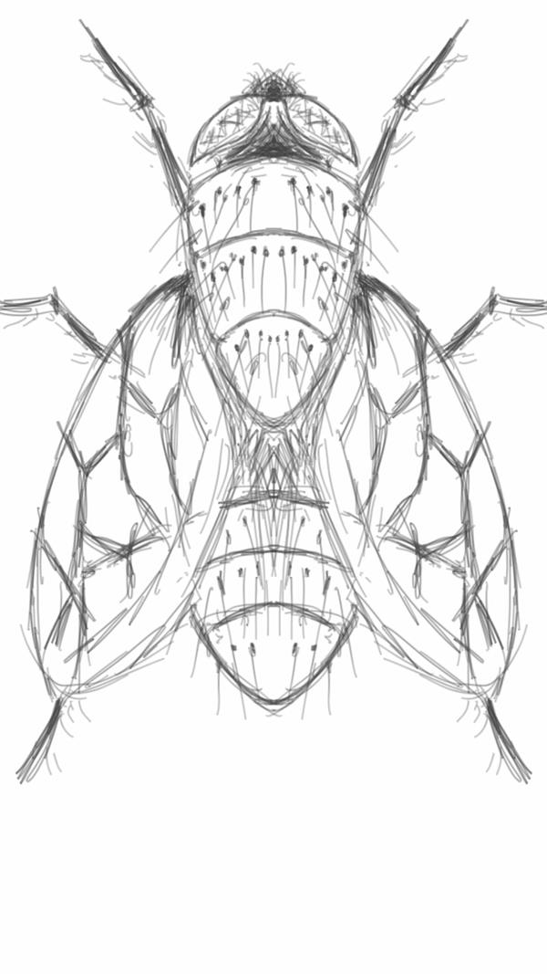 Flying Insect Perspective Drawing FLYING INSECT by J0Santos on DeviantArt