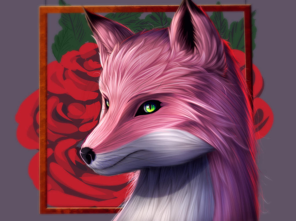 Pink fox