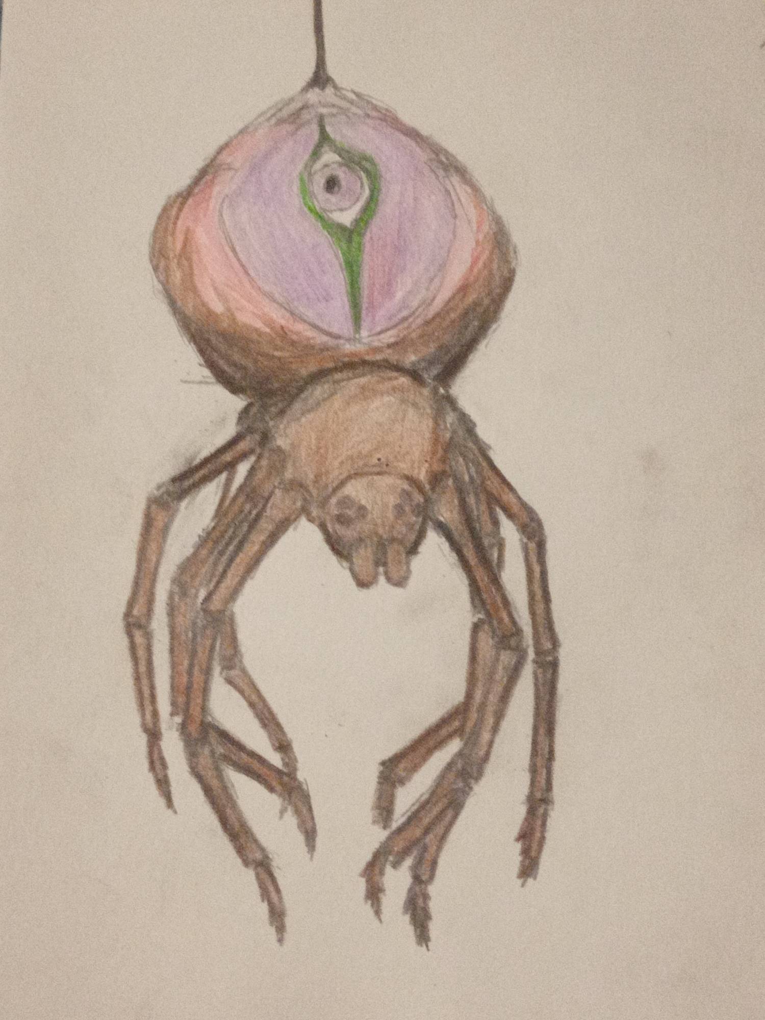 Spoder by Zgierwoj on DeviantArt