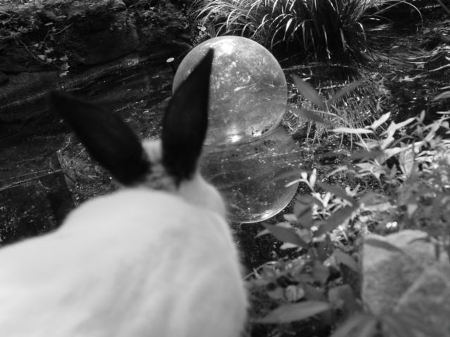 Alice's romp 007 by runlittlerabbit on DeviantArt