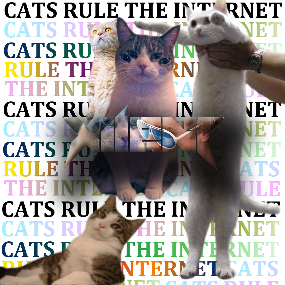 Cats Rule The Internet