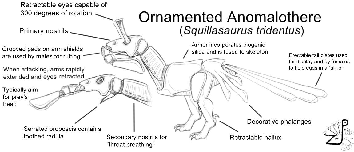 Ornamented Anomalothere