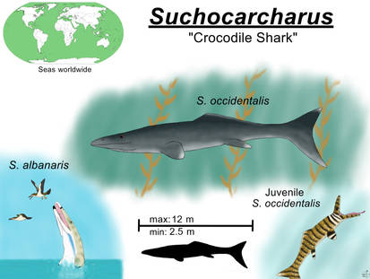 Suchocarcharus