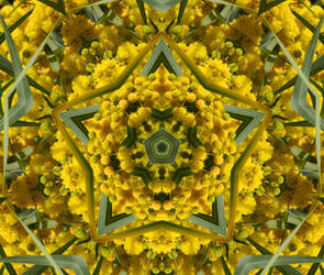 Yellow Haze Kaleidoscope