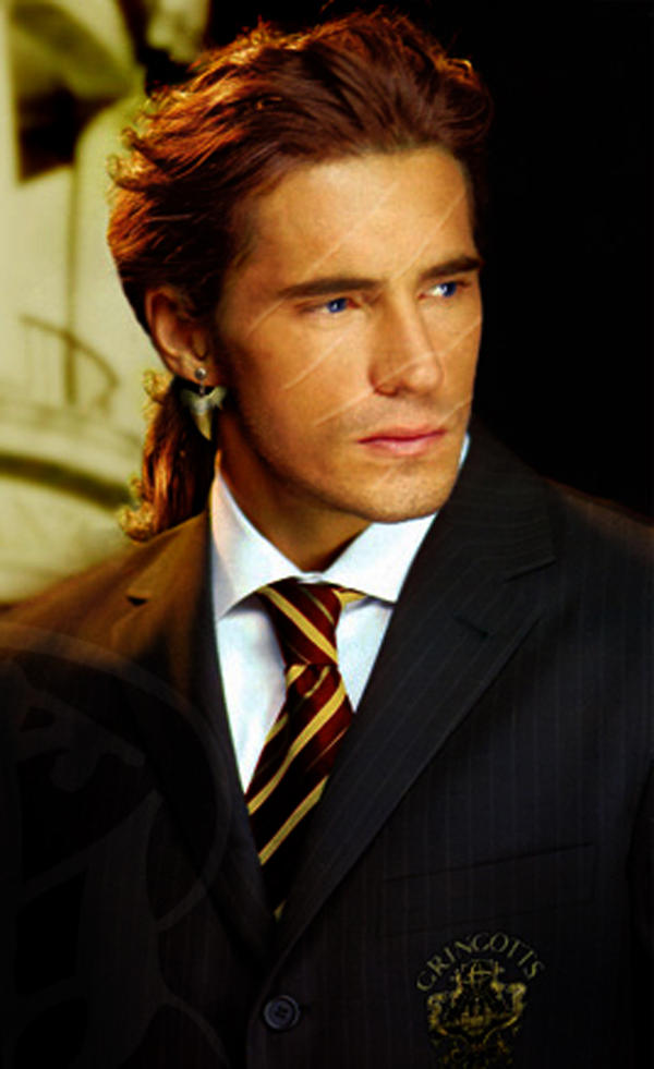 Bill Weasley By Mudbound On DeviantArt