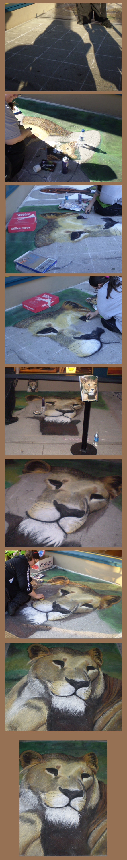 Progress - Lioness in chalk 07